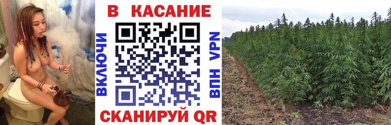 Наркотические вещества Липки АМФЕТАМИН  OMG сайт  Меф  ГАШИШ  Галлюциногенные грибы  Cocaine  Марихуана 