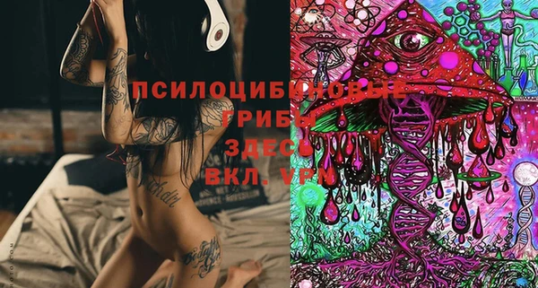ешки Алексеевка