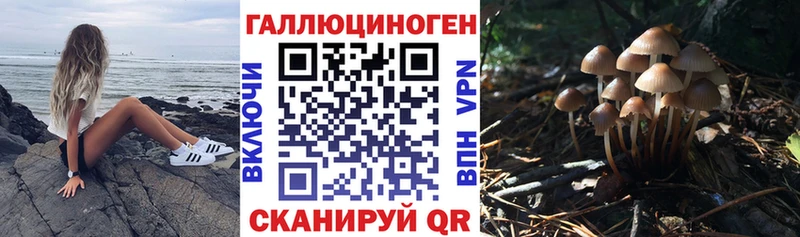 Псилоцибиновые грибы Psilocybine cubensis  Липки 